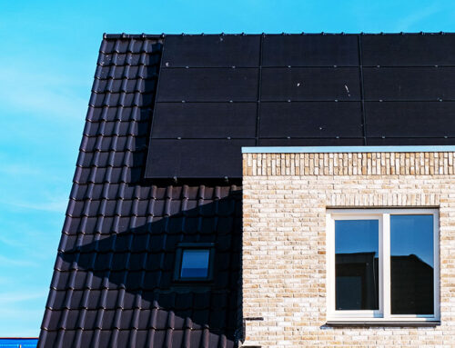 Empower Your Home, Enhance Your Future: The Benefits of Solar Panel Adoption for New Homebuyers
